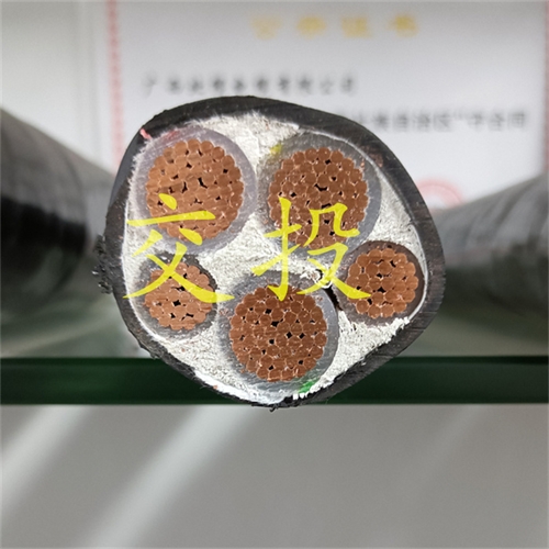 www.dmi2a.cn