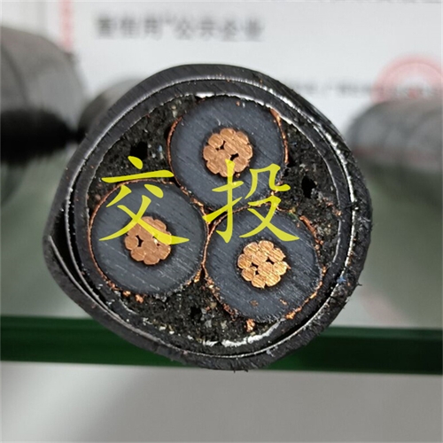 www.dmi2a.cn