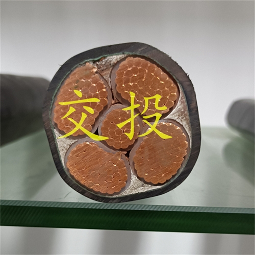 www.dmi2a.cn