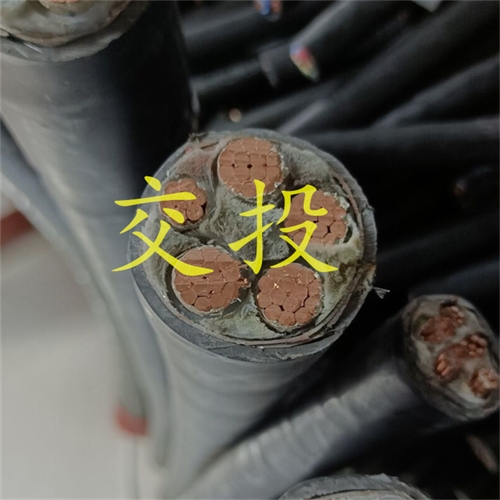 www.dmi2a.cn