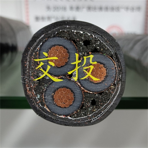 www.dmi2a.cn