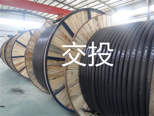 www.dmi2a.cn
