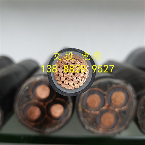 www.dmi2a.cn
