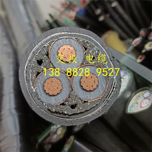 www.dmi2a.cn
