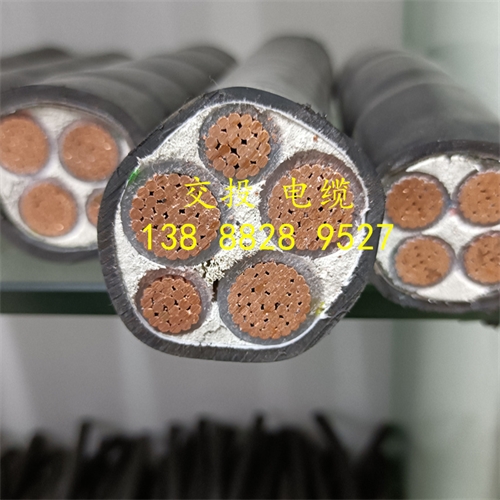 www.dmi2a.cn