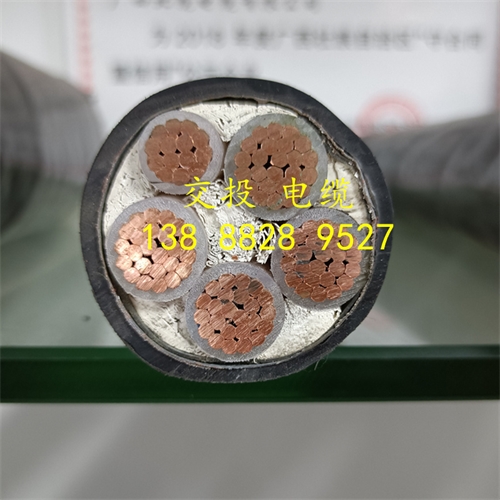 www.dmi2a.cn