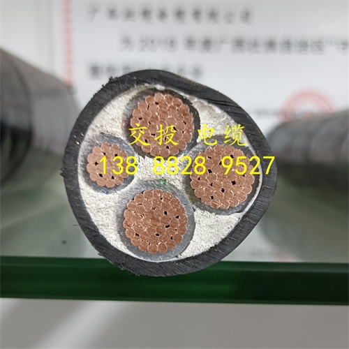 www.dmi2a.cn