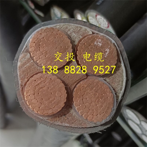 www.dmi2a.cn