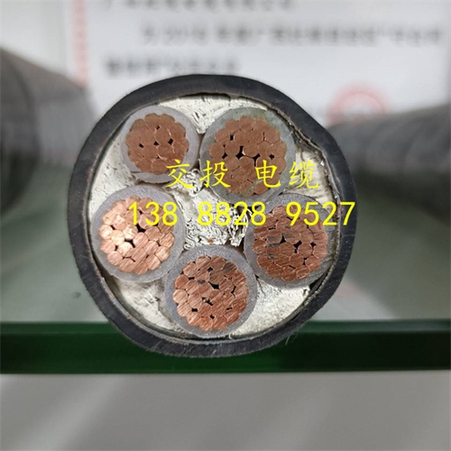 www.dmi2a.cn