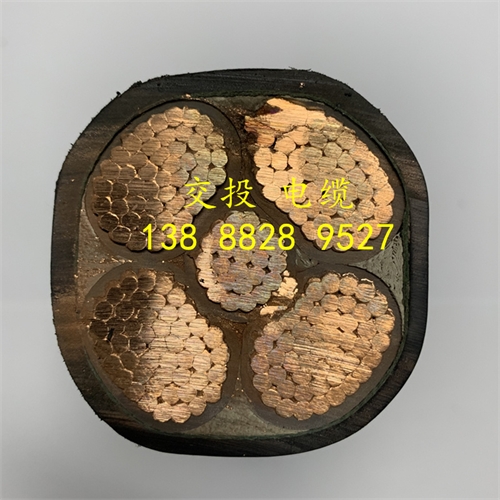 www.dmi2a.cn