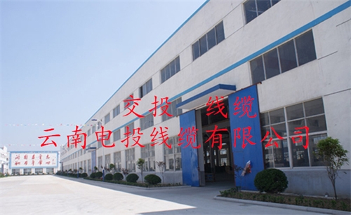 www.dmi2a.cn