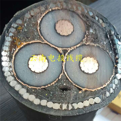 www.dmi2a.cn