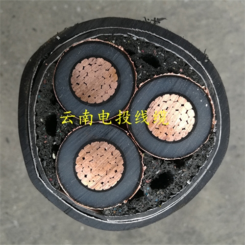 www.dmi2a.cn