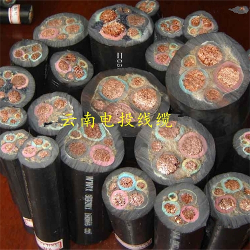 www.dmi2a.cn