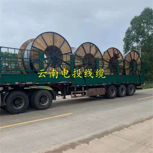 www.dmi2a.cn