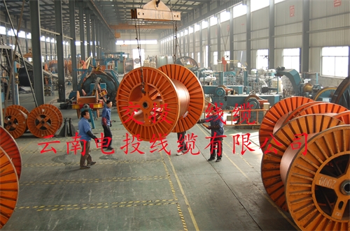 www.dmi2a.cn