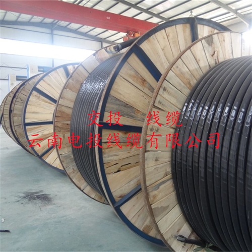 www.dmi2a.cn