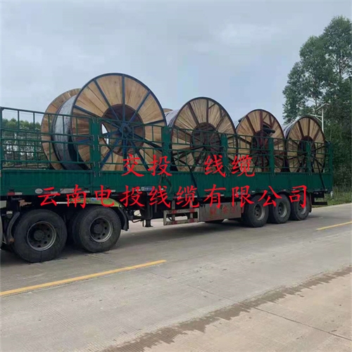 www.dmi2a.cn