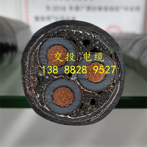 www.dmi2a.cn