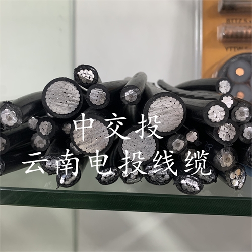 www.dmi2a.cn