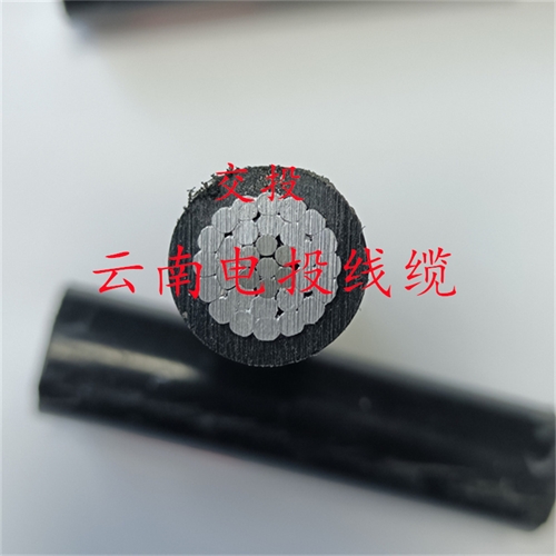 www.dmi2a.cn