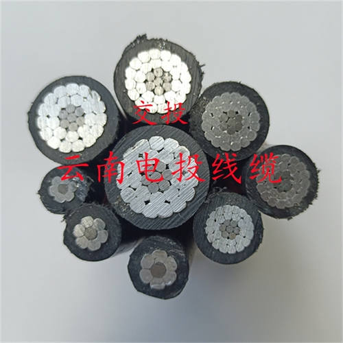 www.dmi2a.cn