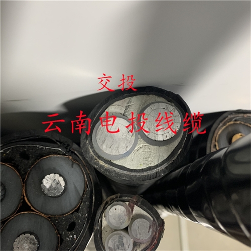 www.dmi2a.cn