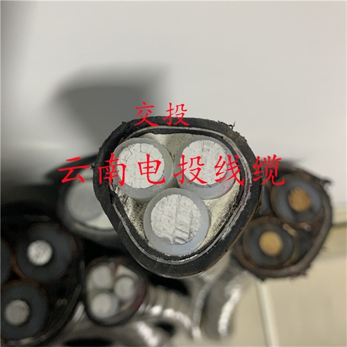 www.dmi2a.cn
