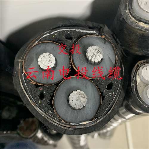 www.dmi2a.cn
