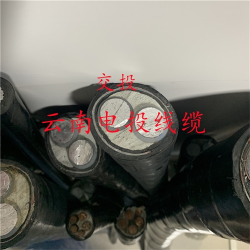www.dmi2a.cn
