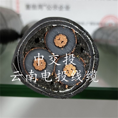 www.dmi2a.cn