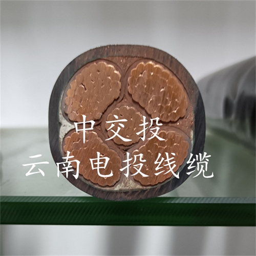 www.dmi2a.cn