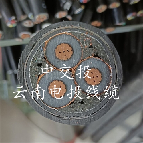 www.dmi2a.cn