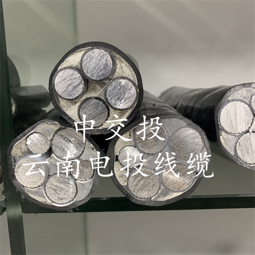 www.dmi2a.cn