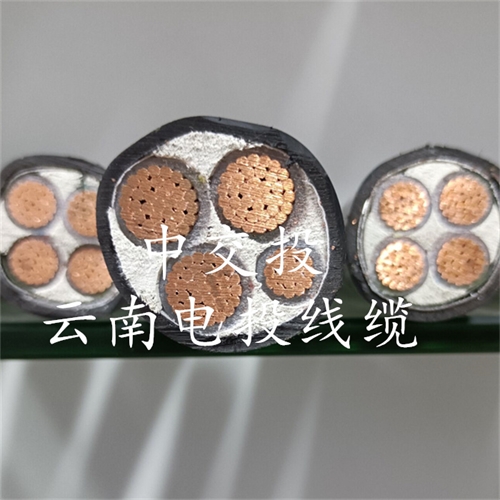 www.dmi2a.cn
