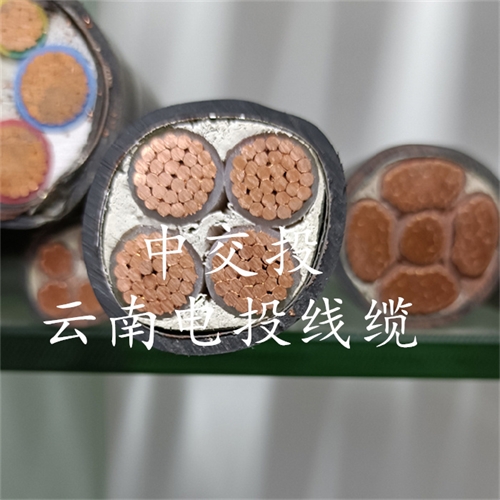 www.dmi2a.cn