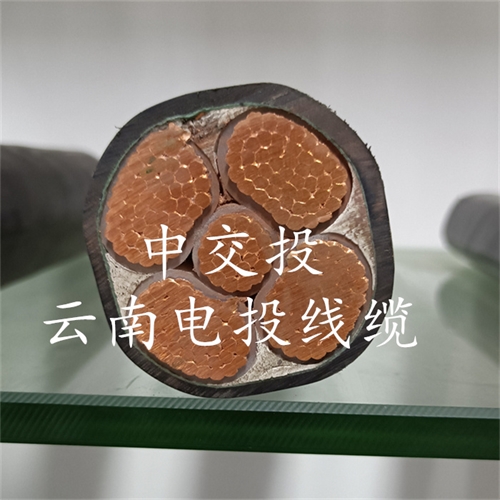 www.dmi2a.cn