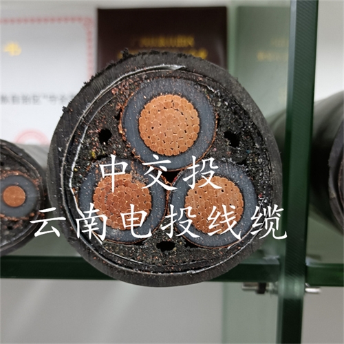 www.dmi2a.cn