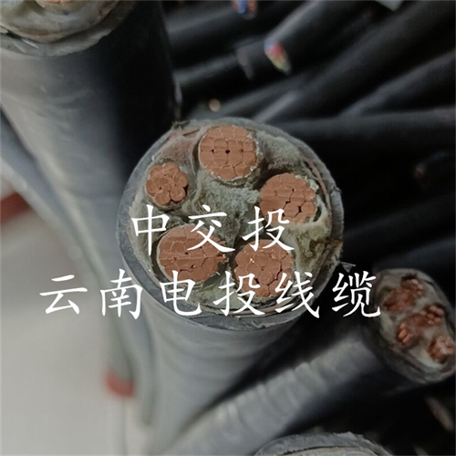 www.dmi2a.cn