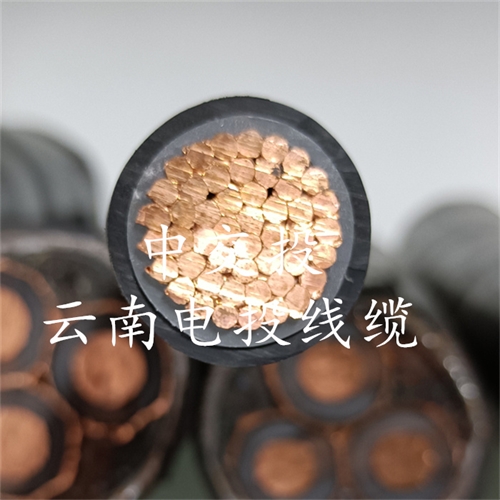 www.dmi2a.cn