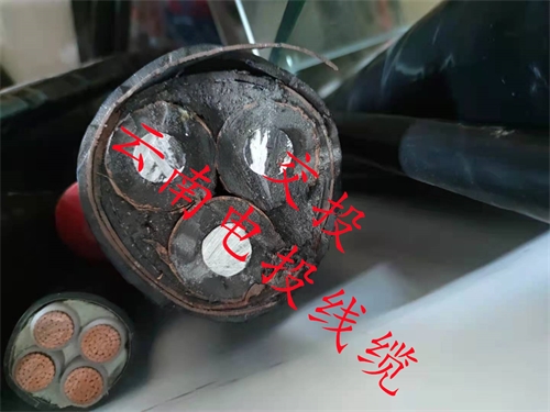 www.dmi2a.cn