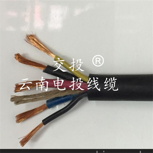 www.dmi2a.cn