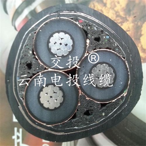 www.dmi2a.cn