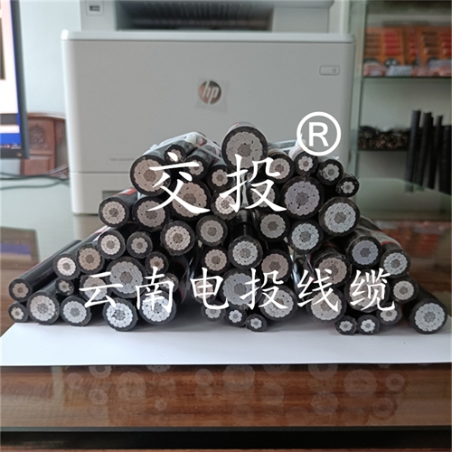 www.dmi2a.cn