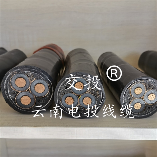 www.dmi2a.cn