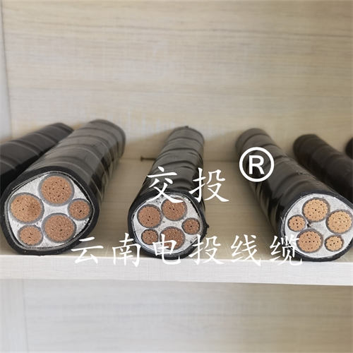 www.dmi2a.cn