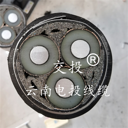 www.dmi2a.cn