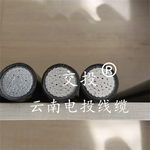 www.dmi2a.cn