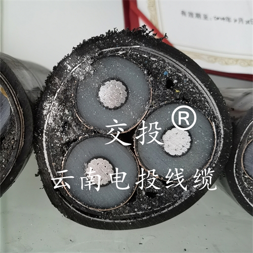www.dmi2a.cn