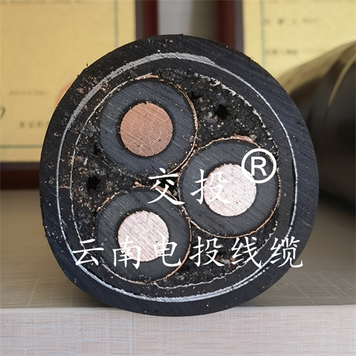 www.dmi2a.cn